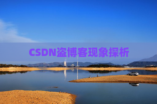 CSDN盗博客现象探析